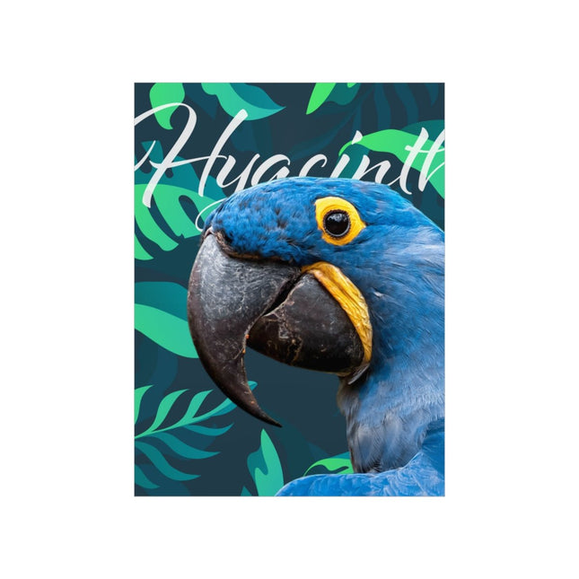 Hyacinth Macaw Matte Poster