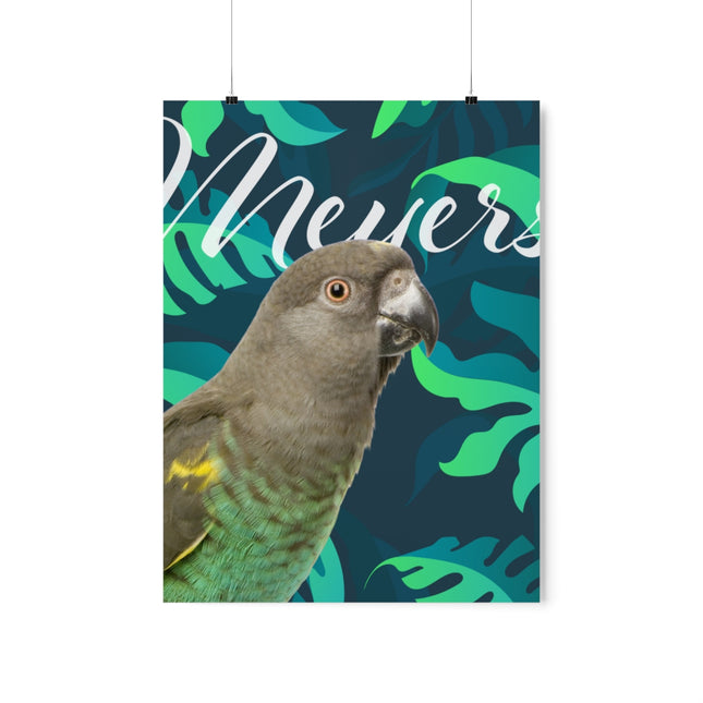 Meyers Parrot Matte Poster