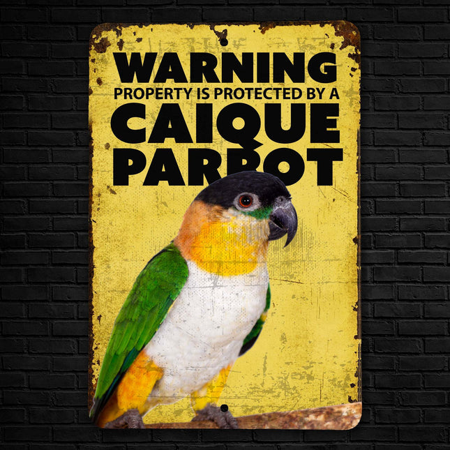 Black Capped Caique Warning Sign