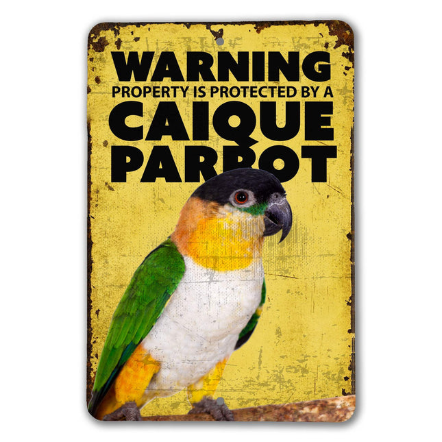 Black Capped Caique Warning Sign