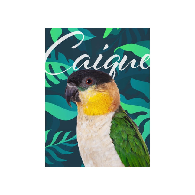 Black Capped Caique Matte Poster