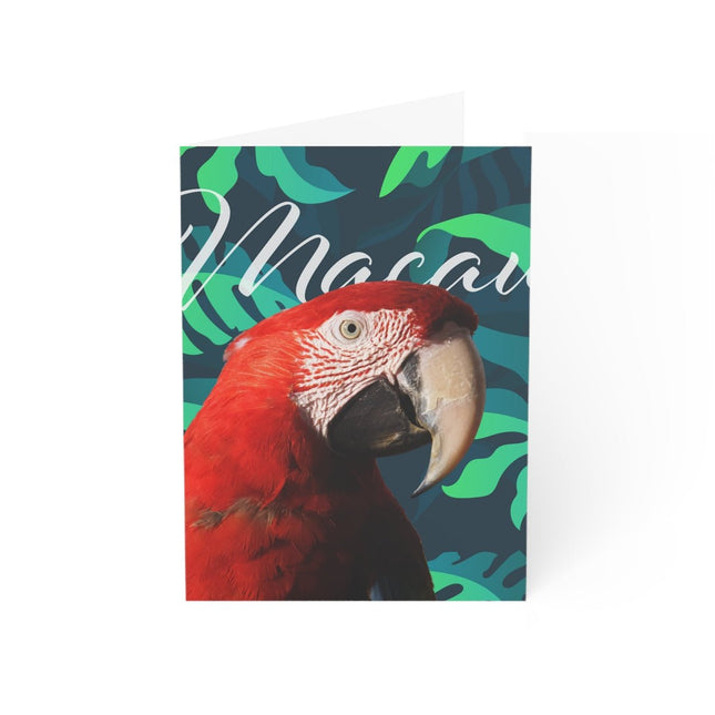 Scarlet Macaw Folded Greeting Cards (1, 10, 30, and 50pcs)