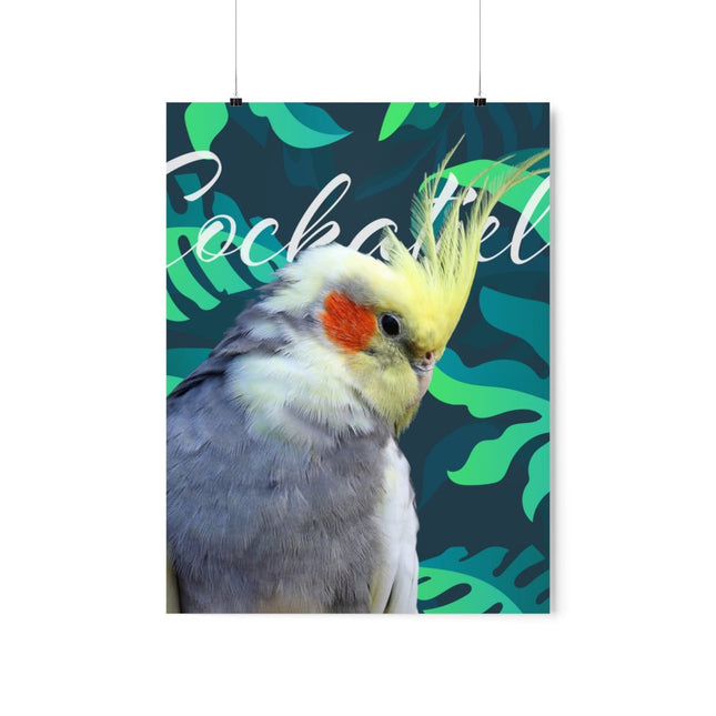 Gray Cockatiel Matte Poster