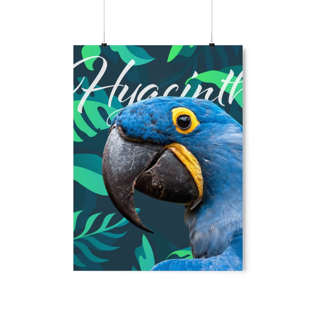 Hyacinth Macaw Matte Poster