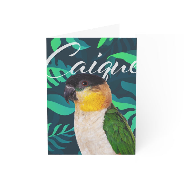 Caique Folded Greeting Cards (1, 10, 30, and 50pcs)