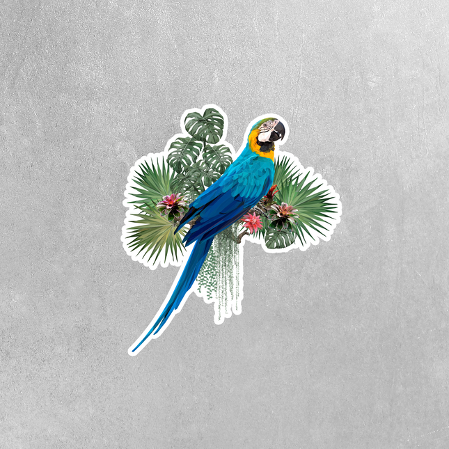 Macaw Sticker