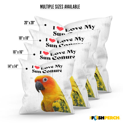 Sun Conure Square Throw Pillow