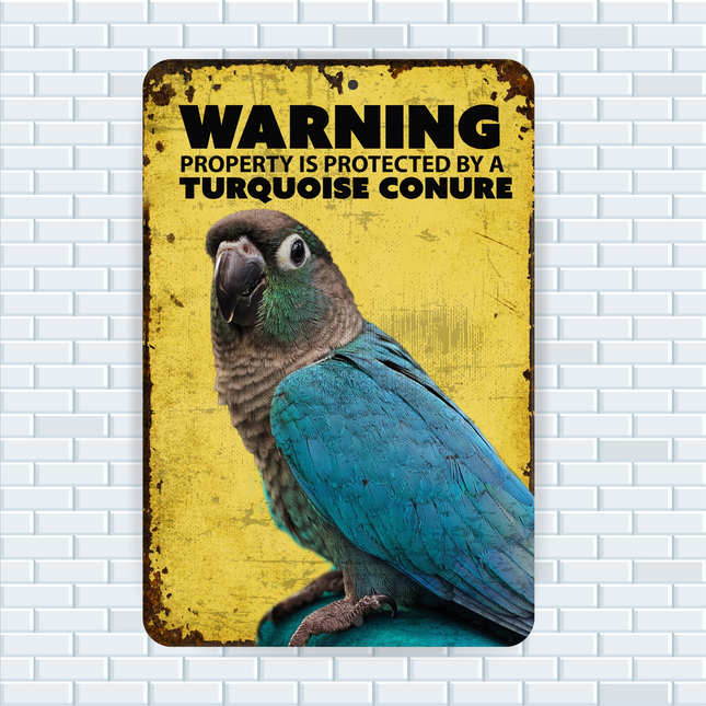 Turquoise Conure Warning Sign