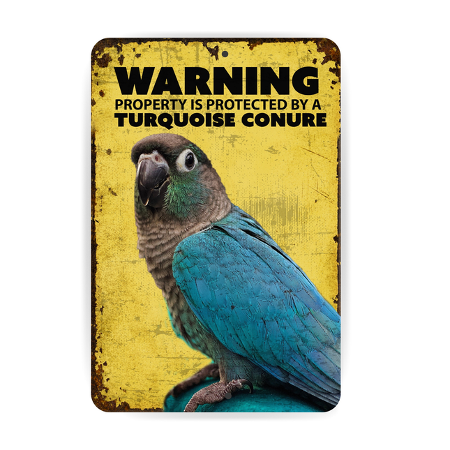 Turquoise Conure Warning Sign